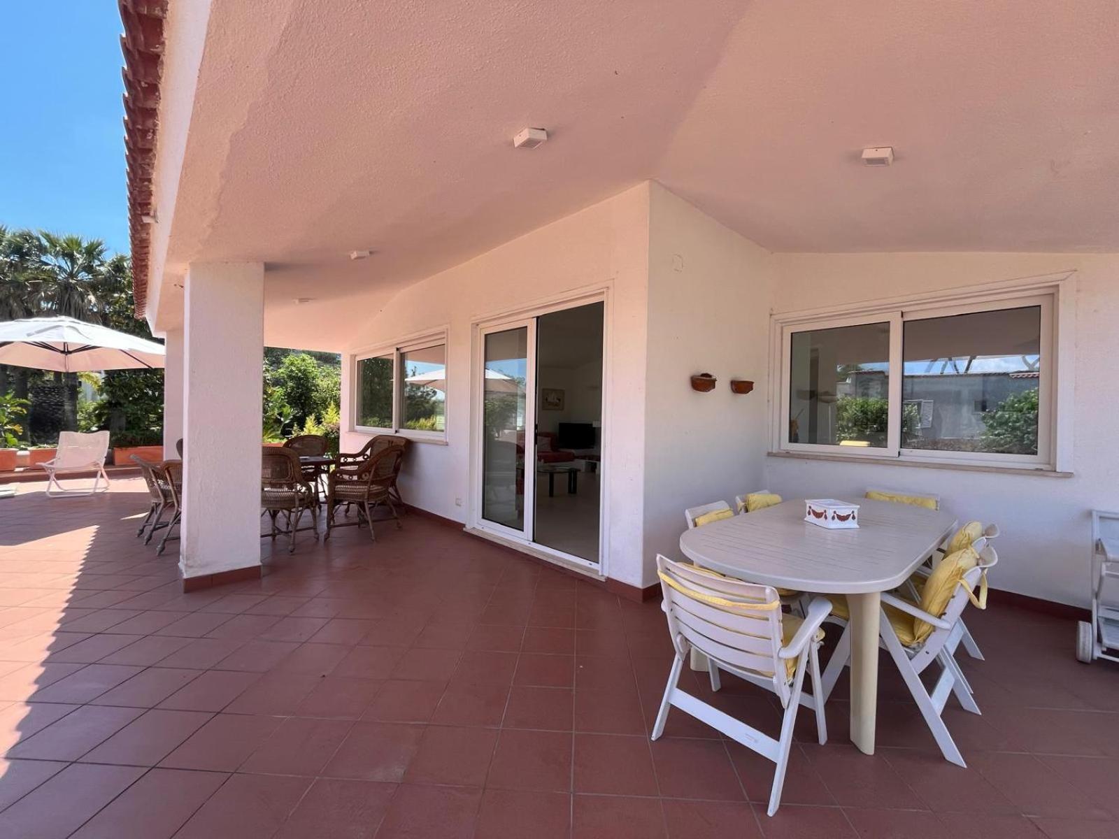 Cycas Villa Ischia