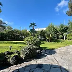 Las Cycas