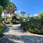 Las Cycas
