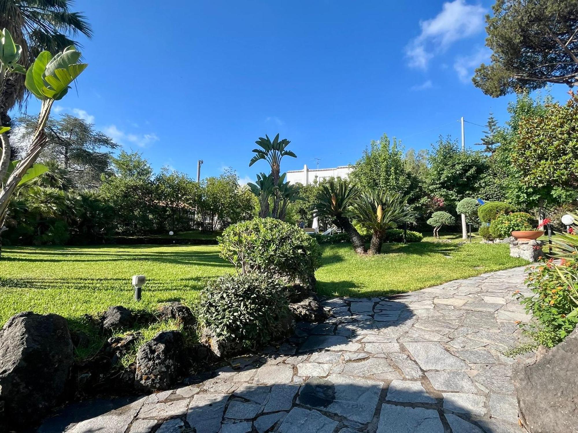 Cycas Villa *