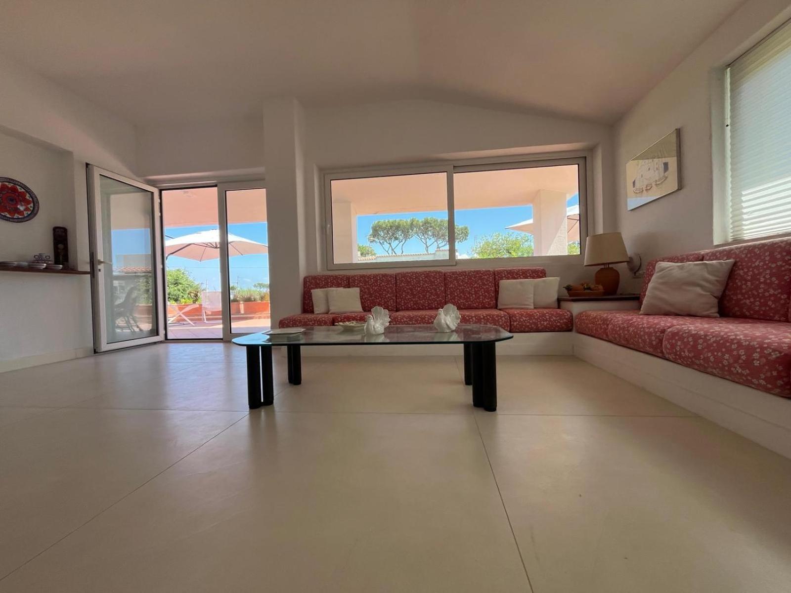 Cycas Villa Ischia